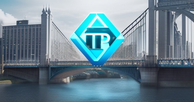 Ripple CEO 在會議上演講