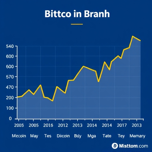 比特幣價格波動圖表
