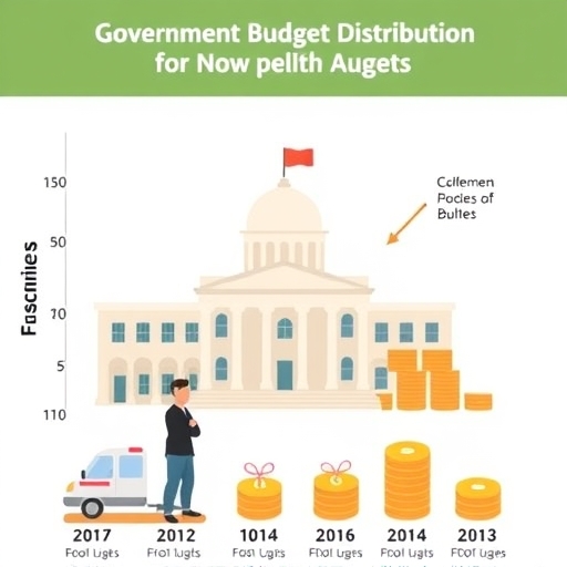 政府預算分配的插圖
